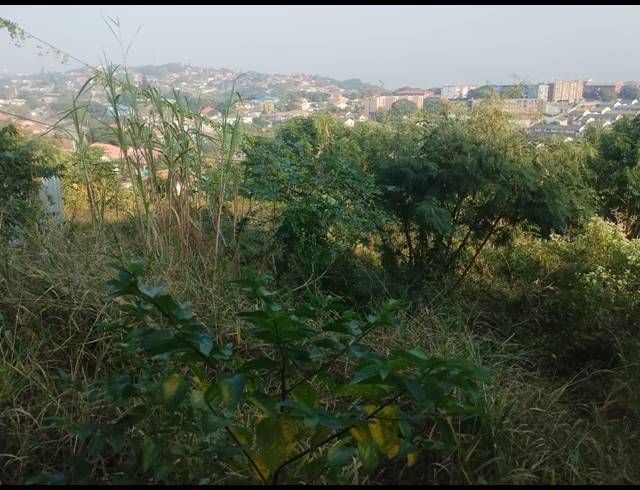 915M² VACANT LAND FOR SALE IN BLUFF